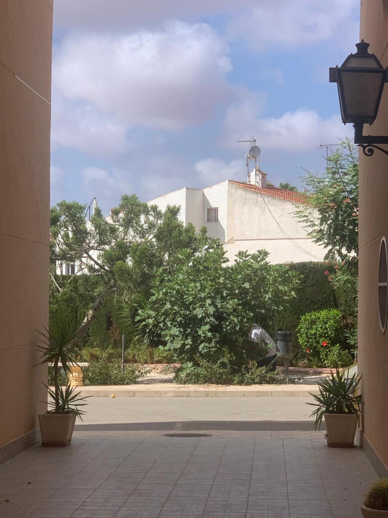 Tres Beau T4 Torrevieja Renove Et Moderne Apartment Ngoại thất bức ảnh